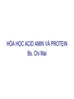 Bài giảng - Hóa học acid amin và protein