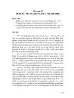 SỬ DỤNG THUỐC TRONG ĐIỀU TRỊ HIVAIDS