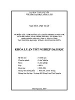 Nghiên cứu ảnh hưởng của chất Indole-3-butanic acid (IBA) đến khả năng hình thành cây hom Gáo (Anthocephalus chinensis (Lam) A. Rich.ex Walp) tại trường Đại học Nông Lâm Thái Nguyên