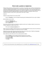 Word order position of adjectives