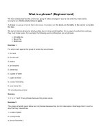 What is a phrase beginner level