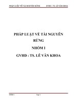 Tiểu luận Pháp luật tài nguyên rừng