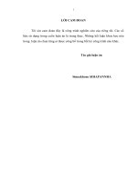 Hoàn thiện hệ thống thông tin tín dụng trong hệ thống ngân hàng Cộng Hòa Dân Chủ Nhân Dân Lào