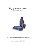 20 big grammar book intermediate book 1