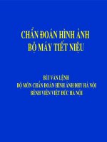 Bài giảng - Chuẩn đoán hình ảnh bộ máy tiết liệu