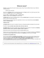 Cách sử dụng danh từ