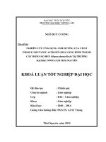 Nghiên cứu ảnh hưởng của chất INDOLE-3-BUTANIC ACID đến khả năng hình thành cây hom sao đen (Hopea odorata Roxb) tại Trường Đại Học Nông Lâm Thái Nguyên