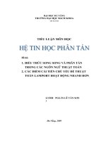 Tiểu luận môn học hệ tin học phân tán