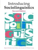 Introducing sociolinguistics