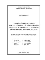 Nghiên cứu lượng Carbon (C) tích lũy của rừng Vầu đắng (Indosasa angustata Mc. Clure) tại xã Tân Thịnh, huyện Định Hóa, tỉnh Thái Nguyên