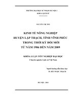 Kinh tế nông nghiệp huyện Lập Thạch, tỉnh Vĩnh Phúc trong thời kỳ đổi mới từ năm 1986 đến năm 2009