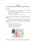 SỬ DỤNG THUỐC TRONG ĐIỀU TRỊ BỆNH SỐT RÉT