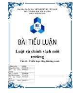 Tiểu luận Chiến lược tăng trưởng xanh