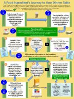 A Food Ingredient’s Journey to Your Dinner Table