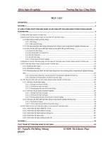HOÀN THIỆN CÔNG TÁC KẾ TOÁN BÁN HÀNG VÀ XÁC ĐỊNH KẾT QUẢ BÁN HÀNG TẠI CÔNG TY CỔ PHẦN ĐẦU TƯ VÀ THƯƠNG MẠI SÔNG HỒNG