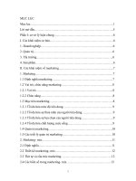 một số biện pháp nhằm hoàn thiện chính sách marketing- mix cho sản phẩm ngói màu SJVC tại công ty