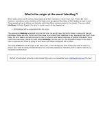 Whats the origin of the word blackleg