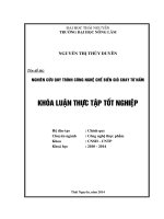 Nghiên cứu quy trình công nghệ chế biến giò chay từ nấm.