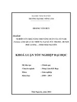 Nghiên cứu khả năng cho năng suất của cỏ VA06 (Varisme số 06) qua các thời vụ tại xã Tức Tranh- Phú Lương Thái Nguyên.