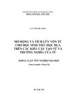 Mở rộng và tích lũy vốn từ cho học sinh tiểu học dựa trên các kiểu cấu tạo và trường nghĩa của từ (KL03824)