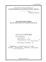 SÁNG KIẾN KINH NGHIỆM  BIỆN PHÁP PHÒNG BỆNH CẢM CÚM CHO HỌC SINH NỘI TRÚ