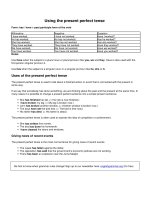 Using the present perfect tense