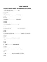 English Verbs exercise