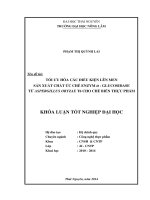 Tối ưu hóa các điều kiện lên men sản xuất chất ức chế Enzym α- glucosidase từ Aspergillus oryzae T6 cho chế biến thực phẩm