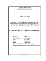 Nghiên cứu một số loài cây nguyên liệu làm hương của đồng bào dân tộc Tày tại xã Tân Hợp - huyện Văn Yên- tỉnh Yên Bái