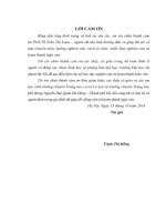 Nghiên cứu một số chỉ tiêu sinh học và trí tuệ của học sinh từ 12 – 18 tuổi ở các  trường chuyên tại Quận Hà Đông  Hà nội