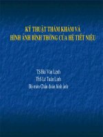 Bài giảng - Kĩ thuật thăm khám và hình ảnh bình thường của hệ tiết niệu