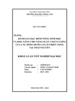 Đánh giá đặc điểm nông sinh học và khả năng cho năng suất, chất lượng của các dòng Bưởi lai có triển vọng tại Thái Nguyên