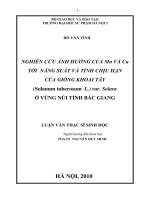 Nghiên cứu ảnh hưởng của Mn và Cu tới năng suất và tính chịu hạn của giống khoai tây(Solanum tuberosum L.) var. Solara ở vùng núi tỉnh Bắc Giang