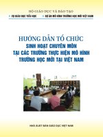 Hướng dẫn tổ chức Sinh hoạt chuyên môn tại các trường thực hiện mô hình trường học mới tại việtnam (VNEN)