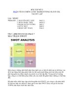 PHÂN TÍCH CHIẾN LƯỢC MARKETTING OLIVE OIL  TẠI HY LẠP