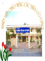 Giáo án bồi dưỡng toán lớp 2 Ôn tập các số đến 100 tham khảo (1)