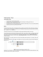 Thuật toán boyer  (lập trình và giải thuật trong tin học)