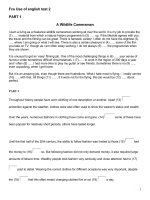 FCE, Use of English Test  2