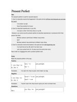 Present Perfect (Hiện tại hoàn thành)