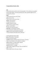 Inseparable phrasal verbs (Cụm động từ không tách được)