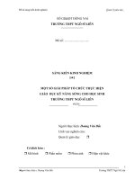 Sáng kiến kinh nghiệm  MỘT SỐ GIẢI PHÁP TỔ CHỨC THỰC HIỆN  GIÁO  DỤC KỸ NĂNG SỐNG CHO HỌC SINH  TRƯỜNG THPT NGÔ SĨ LIÊN