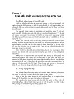 Hóa Sinh Trong Thực Vật