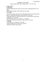 giáo án CHỦ ĐỀ:  CÂY XANH