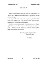 Xây dựng câu hỏi theo quan điểm Pisa để phát huy năng lực khoa học của học sinh trong dạy học chương 4 - Sinh học 11(CTC)