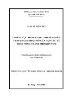 Chiến lược marketing cho sản phẩm Thanh long ruột đỏ của hợp tác xã Thần Nông, thành phố Kon Tum