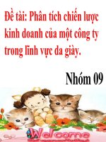 Phân tích chiến lược kinh doanh của một công ty trong lĩnh vực da giày