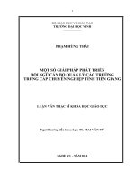 Một số giải pháp phát triển đội ngũ cán bộ quản lý các trường trung cấp chuyên nghiệp tỉnh tiền giang