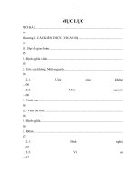 Iđêan và thể hiện của nó trong hình học đại số