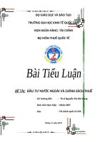 Đầu tư nước ngoài tại Việt Nam và chính sách thuế