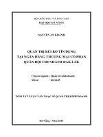 Quản trị rủi ro tín dụng tại ngân hàng TMCP Quân đội, chi nhánh ĐăK lắK